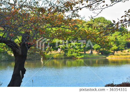 Yokohama Sankeien Garden 36354331