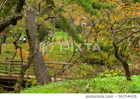 Yokohama Sankeien Garden 36354426