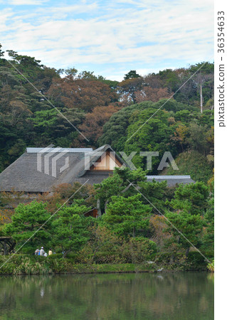 Yokohama Sankeien Garden 36354633