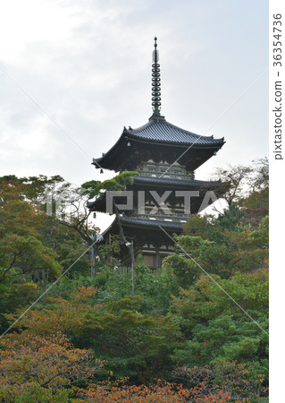 Yokohama Sankeien Garden 36354736