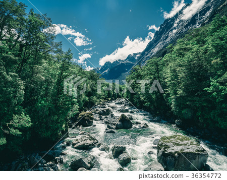 Rocky river landscape in rainforest, New Zealand Rocky river landscape in rainforest, New Zealand 36354772