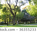 聖殿公園 36355233