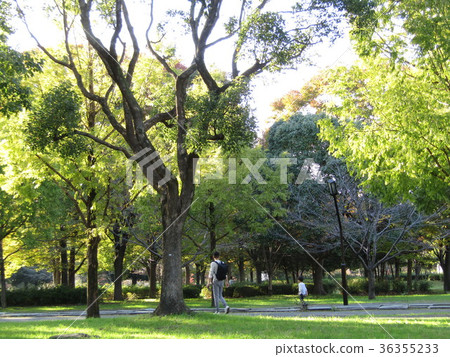 聖殿公園 聖殿公園 36355233
