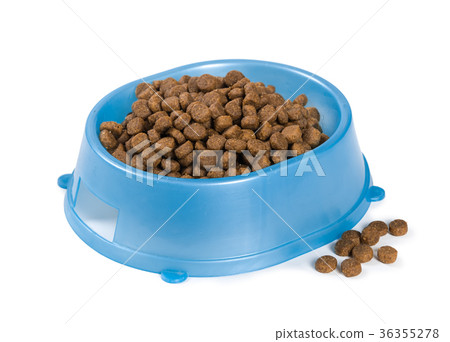 Cat food in a bowl 36355278
