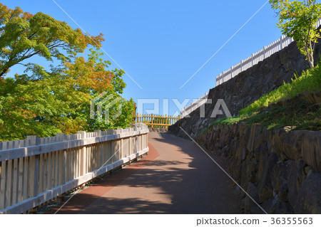 Japan's 100 Great Castles / Kofu Castle Japan's 100 Great Castles / Kofu Castle 36355563
