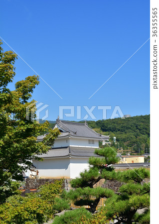 日本的100座大城堡/甲府城堡 日本的100座大城堡/甲府城堡 36355565