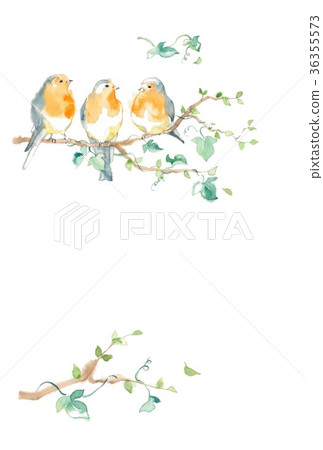 Robin and tree leaves, card 36355573