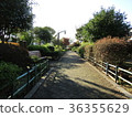 水上樂園 36355629