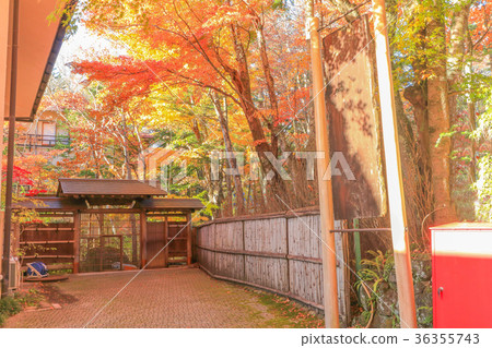 Karuizawa in Autumn Karuizawa in Autumn 36355743