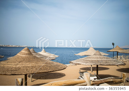wooden umbrellas and azure sea and blue sky wooden umbrellas and azure sea and blue sky 36355945