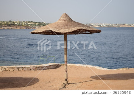 amazing vacation in tropical countries.Egypt.Hotel 36355948