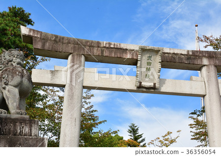 Yamanashi Takeda Shrine 36356054