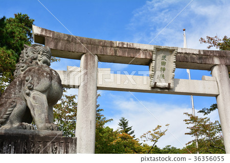 Yamanashi Takeda Shrine 36356055
