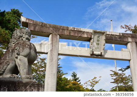 Yamanashi Takeda Shrine 36356056