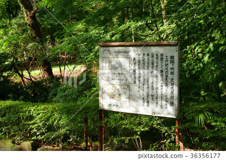 山梨武田神社 山梨武田神社 36356177