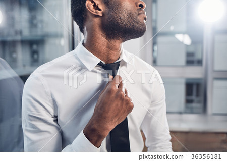 Professional employee is regulating his necktie Professional employee is regulating his necktie 36356181