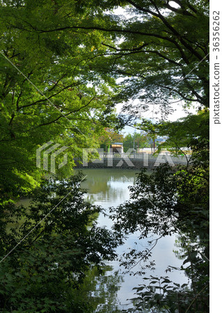 Yamanashi Takeda Shrine 36356262