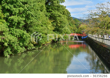 Yamanashi Takeda Shrine 36356266