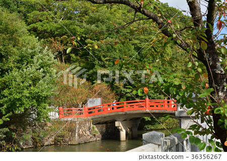 Yamanashi Takeda Shrine 36356267