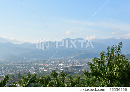 Yamanashi and the hill of grapes Yamanashi and the hill of grapes 36356366
