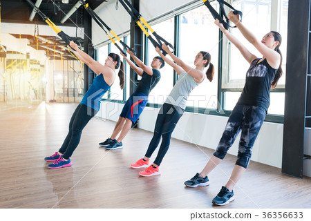 group of fitness TRX suspension straps training 36356633