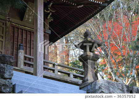 四國Reijo No. 66 No. Fudasho“Ukaneji”Daishido Oden的秋葉 36357052