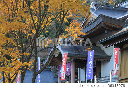 四國Reijo No. 66號Fudasho“Ukaneji”大廳和秋葉 四國Reijo No. 66號Fudasho“Ukaneji”大廳和秋葉 36357078