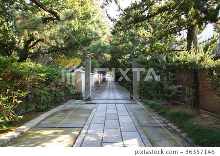 Road to Kenninji Temple Road to Kenninji Temple 36357146