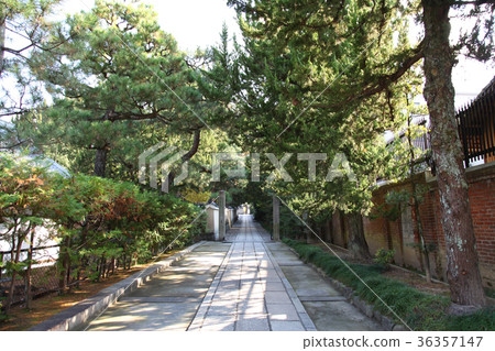 Road to Kenninji Temple Road to Kenninji Temple 36357147