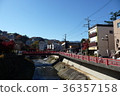 Shuzenji 36357158