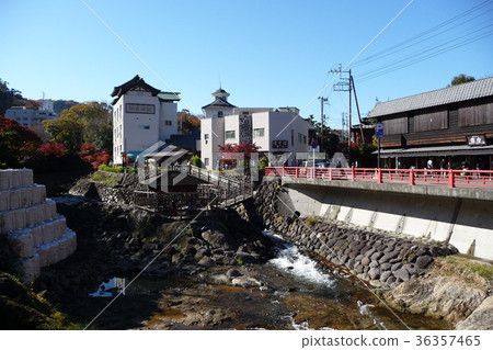 Shuzenji 36357465