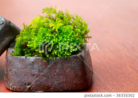 Insult to incense 36358302