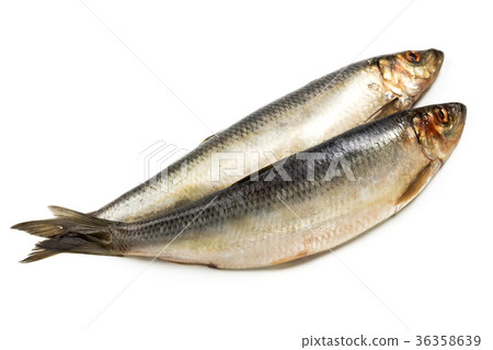 Salted herring isolated on white Salted herring isolated on white 36358639