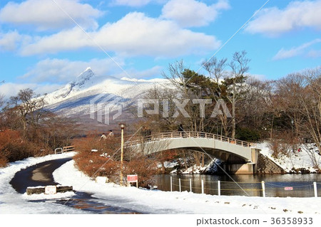 Hokkaido Onuma Park Snow 36358933