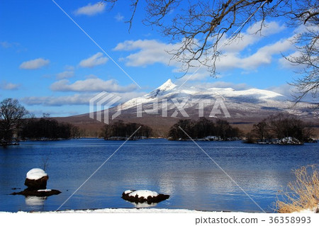 Hokkaido Onuma Park Snow 36358993