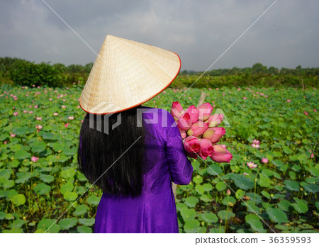 Vietnamese woman in traditional dress 36359593