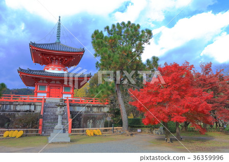 Daikakuji Temple heart tower and autumn leaves 36359996