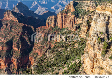 Grand Canyon North Rim Landscape Grand Canyon North Rim Landscape 36360573