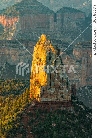 Grand Canyon North Rim Landscape Grand Canyon North Rim Landscape 36360575