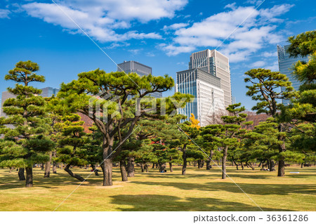 "Tokyo Metropolis" Marunouchi / Urban landscape "Tokyo Metropolis" Marunouchi / Urban landscape 36361286