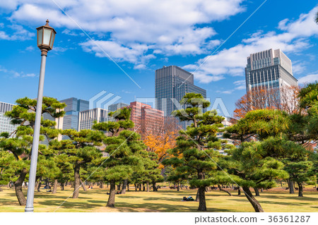 "Tokyo Metropolis" Marunouchi / Urban landscape "Tokyo Metropolis" Marunouchi / Urban landscape 36361287
