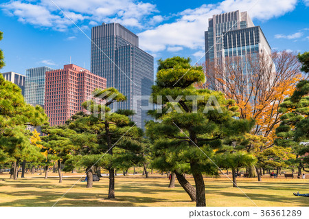 "Tokyo Metropolis" Marunouchi / Urban landscape "Tokyo Metropolis" Marunouchi / Urban landscape 36361289