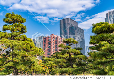 "Tokyo Metropolis" Marunouchi / Urban landscape "Tokyo Metropolis" Marunouchi / Urban landscape 36361294