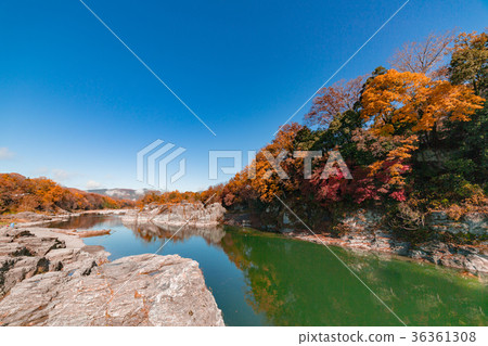 [Sa玉縣]秩父長取下 36361308