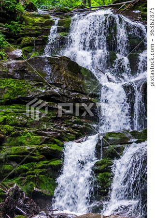 Great waterfall Shypit in Carpathian mountains 36362875