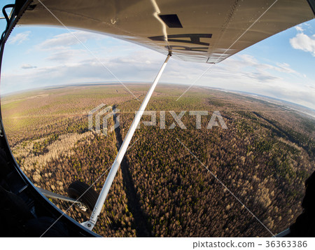 aerial view of forest 36363386