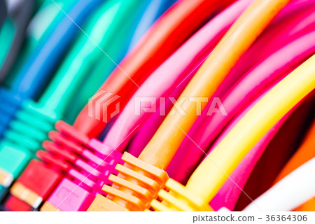 Network Cables 36364306