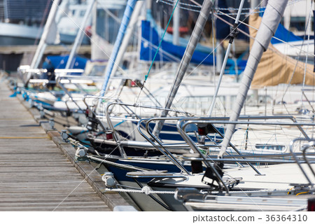 Safe Harbor Safe Harbor 36364310