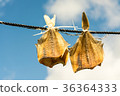 Sun-dried Plaice 36364333