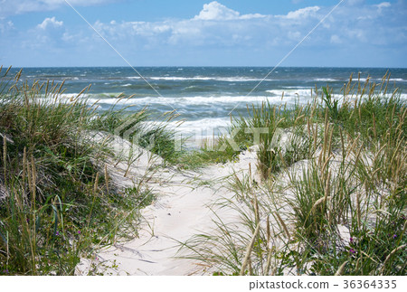 Dunes and sea Dunes and sea 36364335